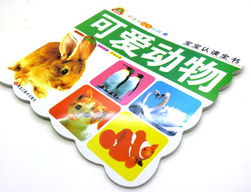 文體用品批發(fā)指南 從義烏小商品市場(chǎng)到線上采購(gòu)的完整策略